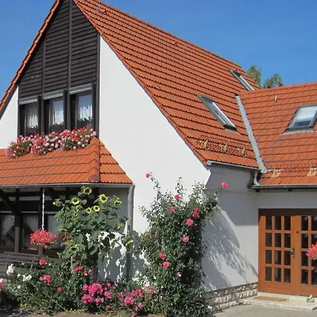 Rose Ambience Modern Retreat Holiday home Bad Langensalza