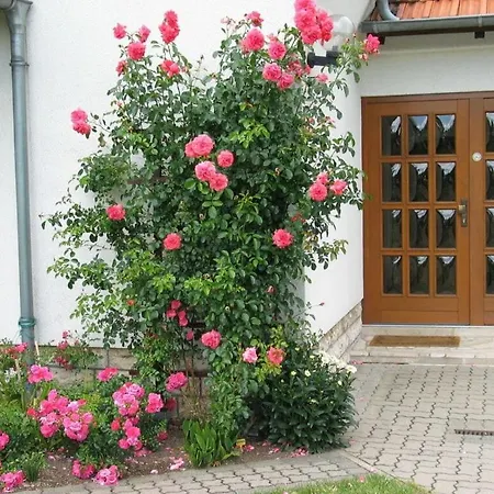 Holiday home Rose Ambience Modern Retreat *
